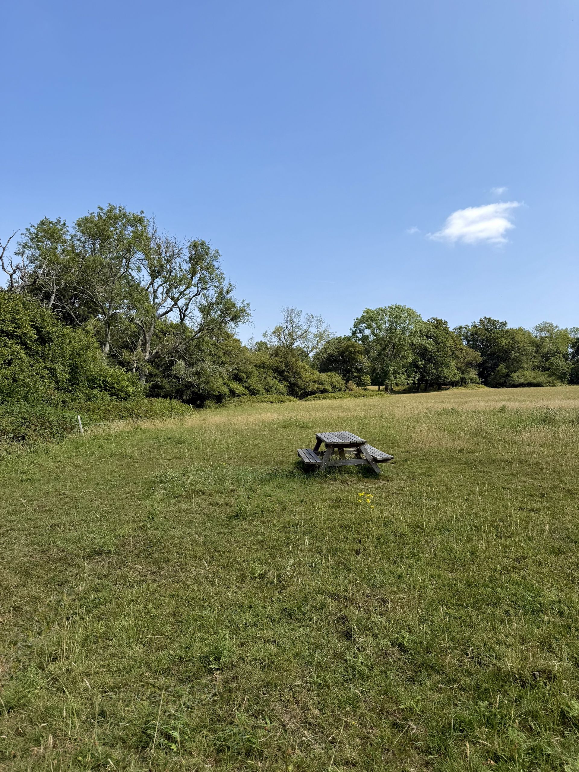 Land for Sale - Your Own Piece of the Kent Countryside - Photos 2 of 7