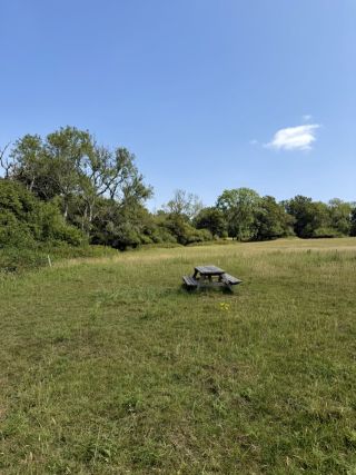 Land for Sale - Your Own Piece of the Kent Countryside - Photos 2 of 7