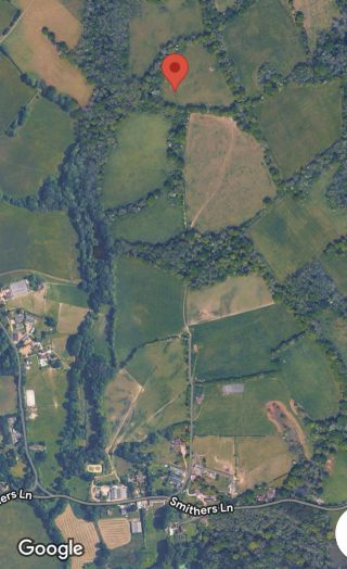 Land for Sale - Your Own Piece of the Kent Countryside - Photos 5 of 7
