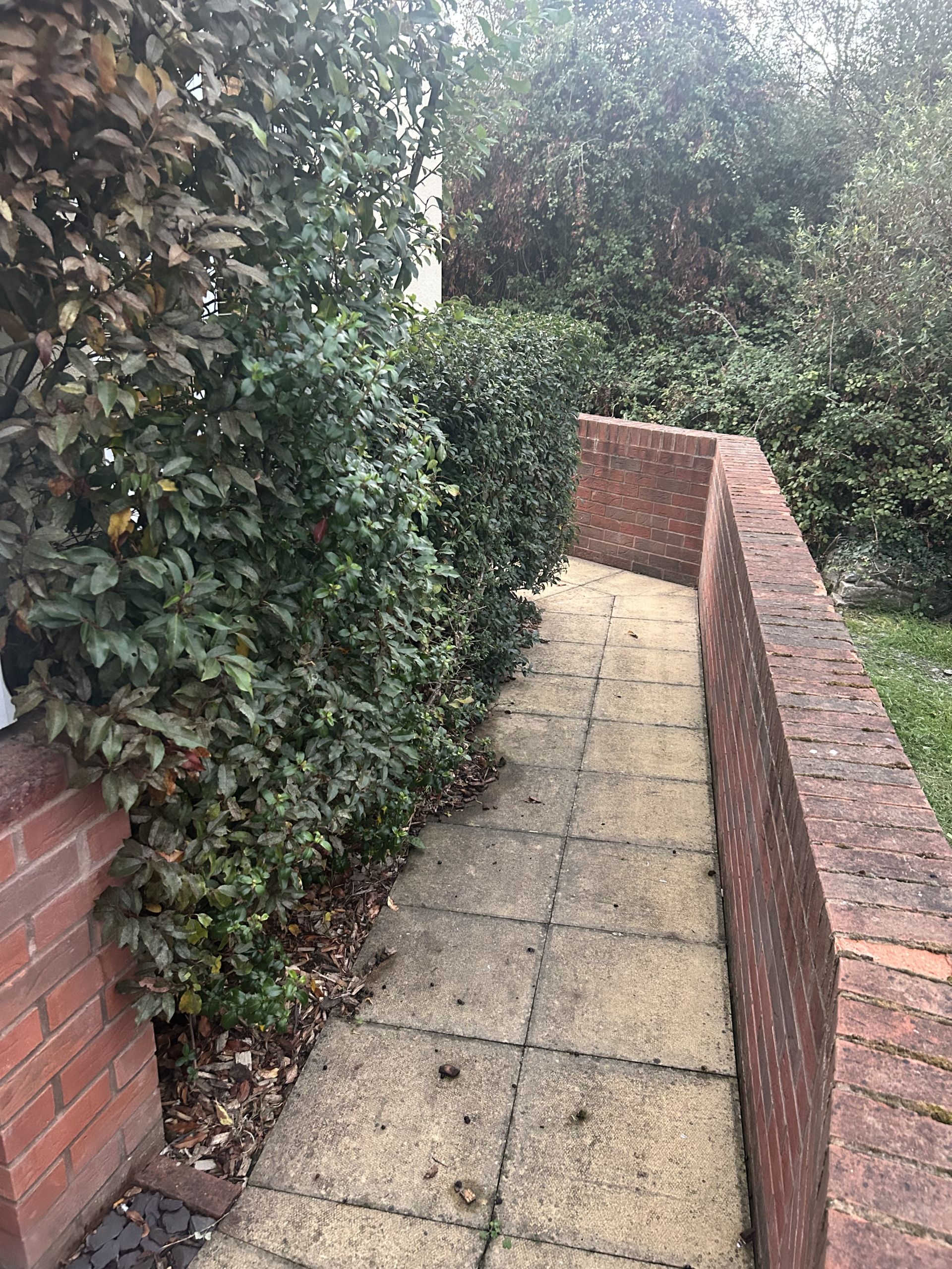 Big 3 bed house with garden and garage - Photos 8 of 12