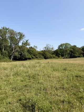 Land for Sale - Your Own Piece of the Kent Countryside - Photos 7 of 7